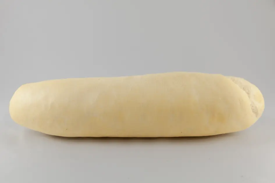 Panini